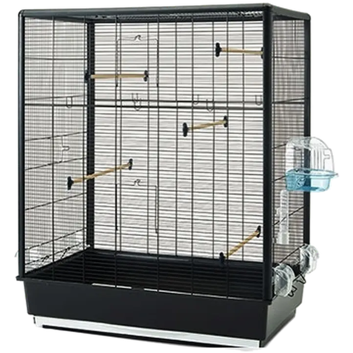 Primo 60 Open Empire