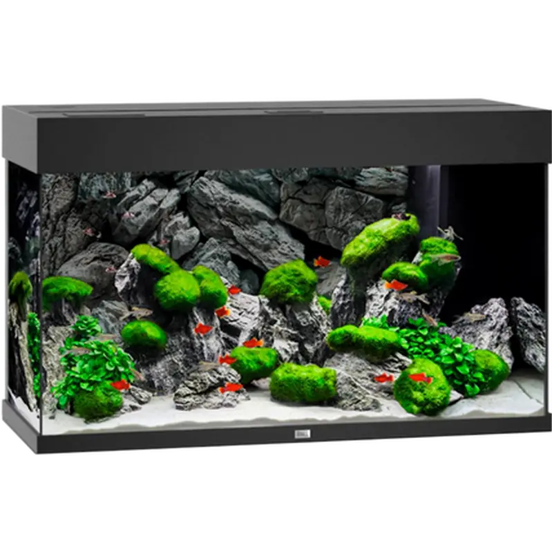 Rio LED Aquarium Svart