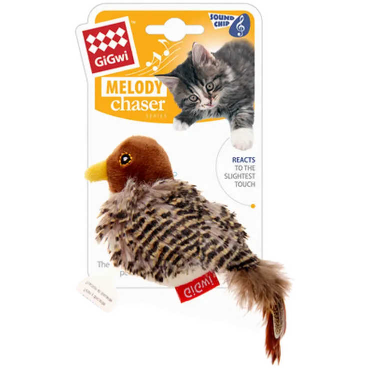 Melody Chaser Bird