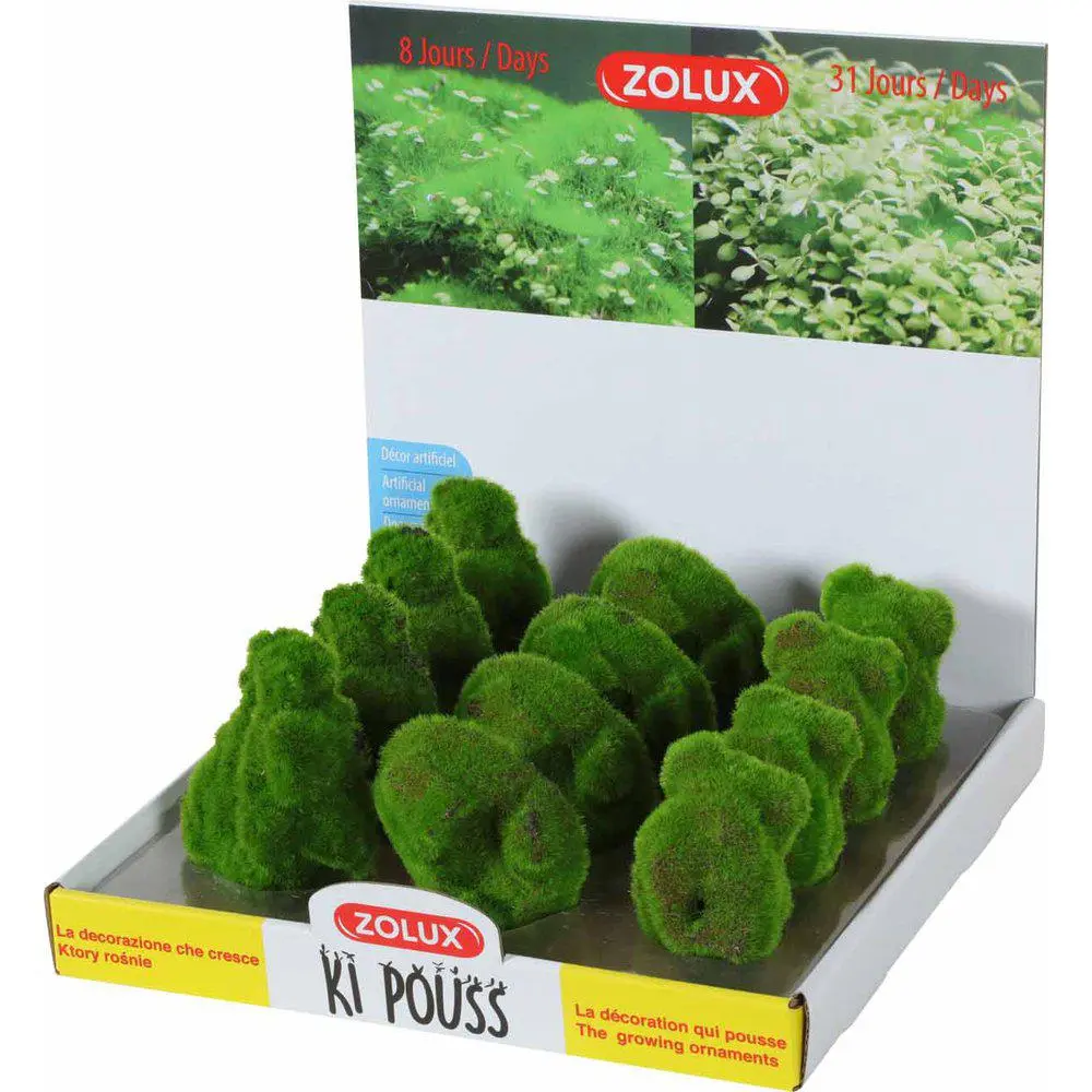 Kipouss Pebble Stone With Live Plant Seeds