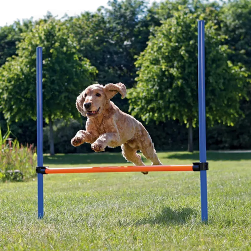 Dog Activity Agility Hurdle