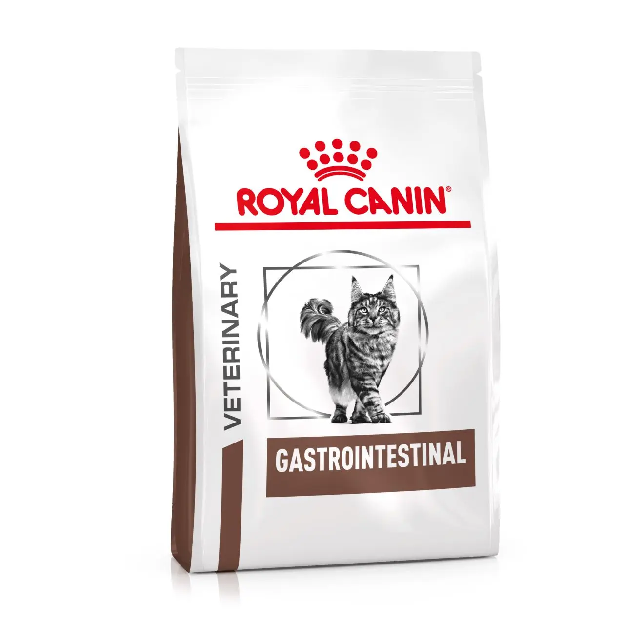Gastrointestinal Torrfoder för katt
