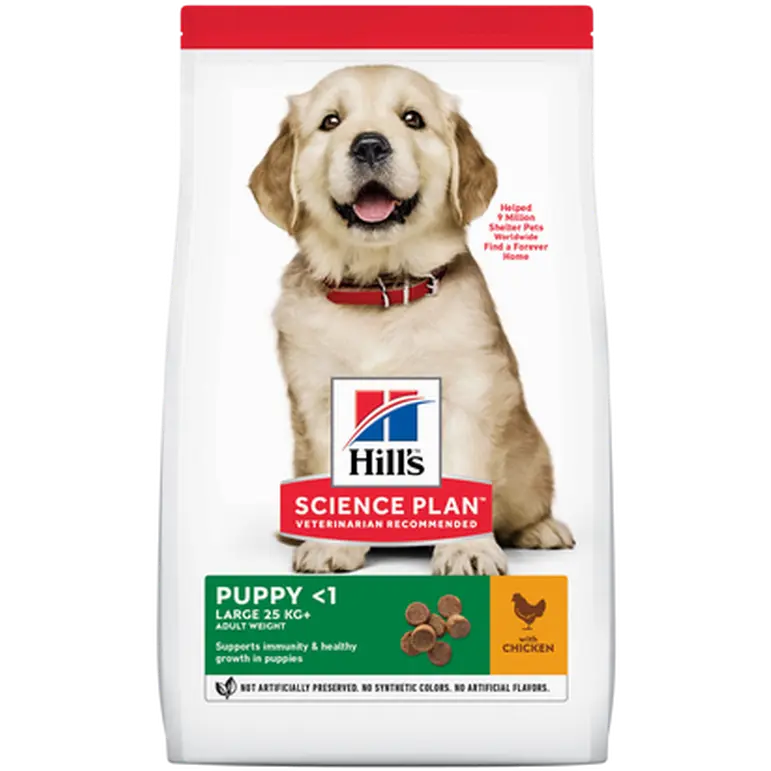 Puppy Healthy Development Large Breed Chicken - Dry Dog Food