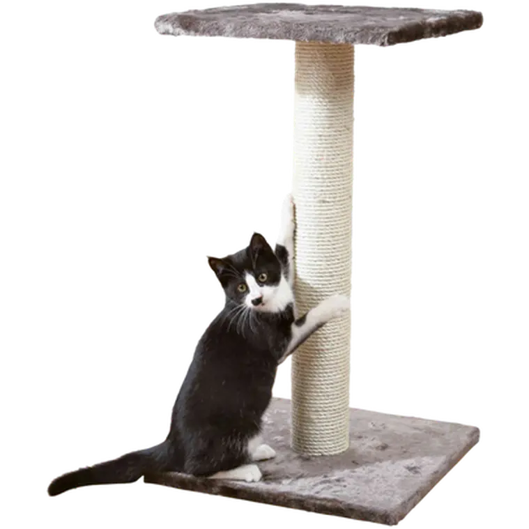 Espejo Scratching Post Platinum