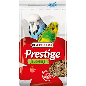 Classic Budgie (Undulat)