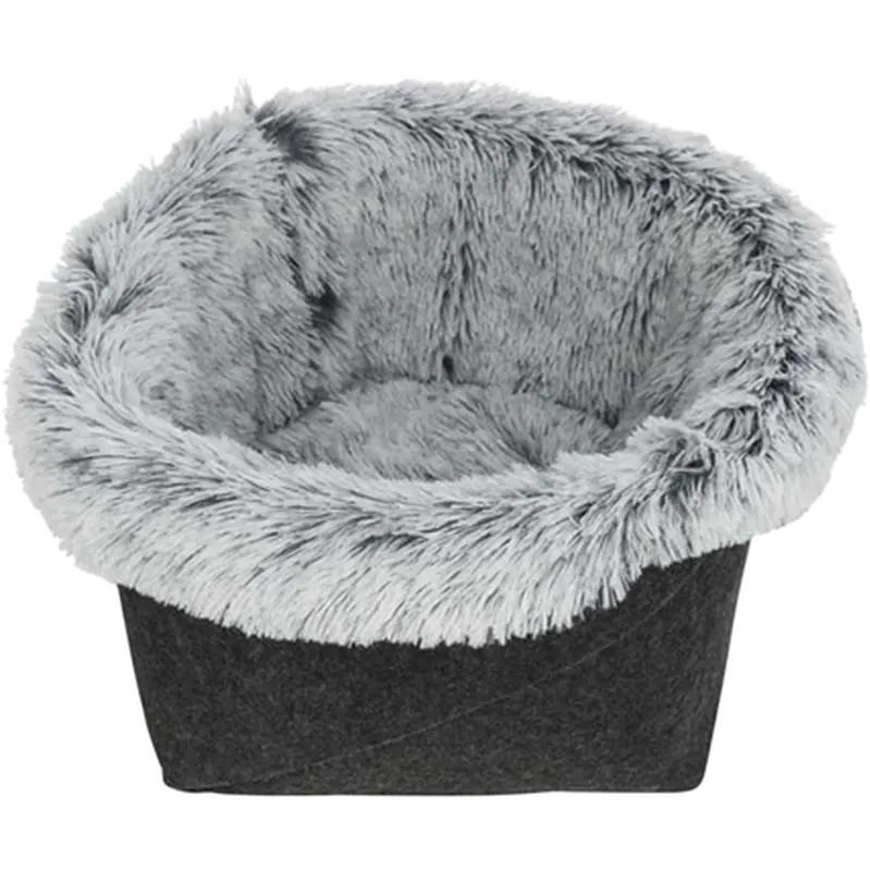 Harvey Bed