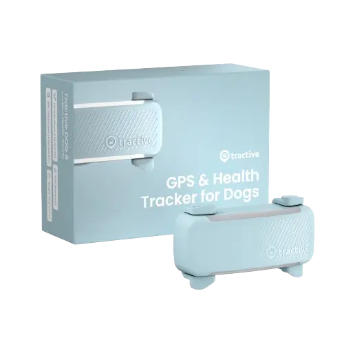 GPS Tracker för Hund Dog 6 - Mint