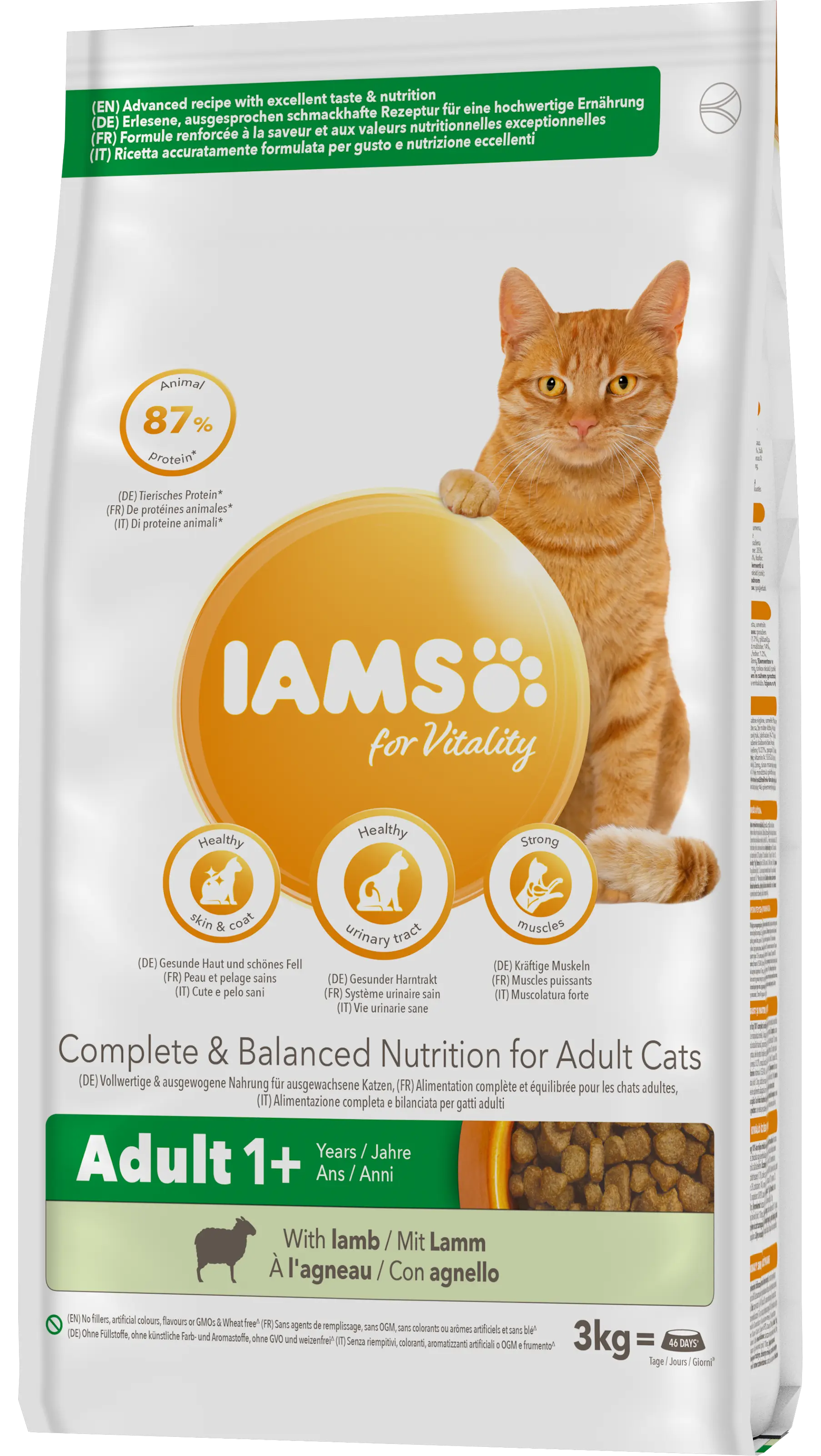 Cat Adult Lamb