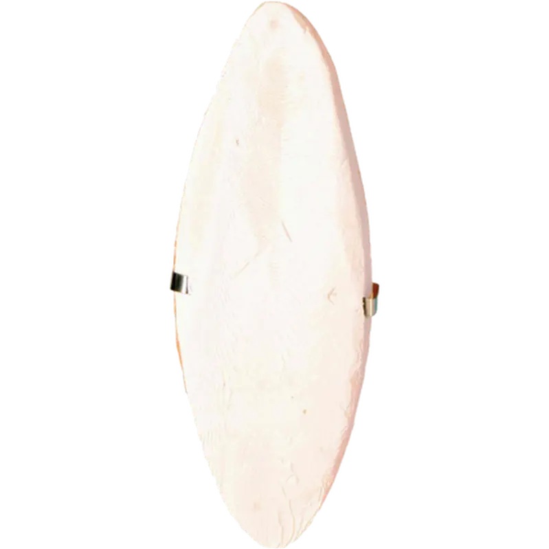 Cuttle Fish Bone with Holder Sepia