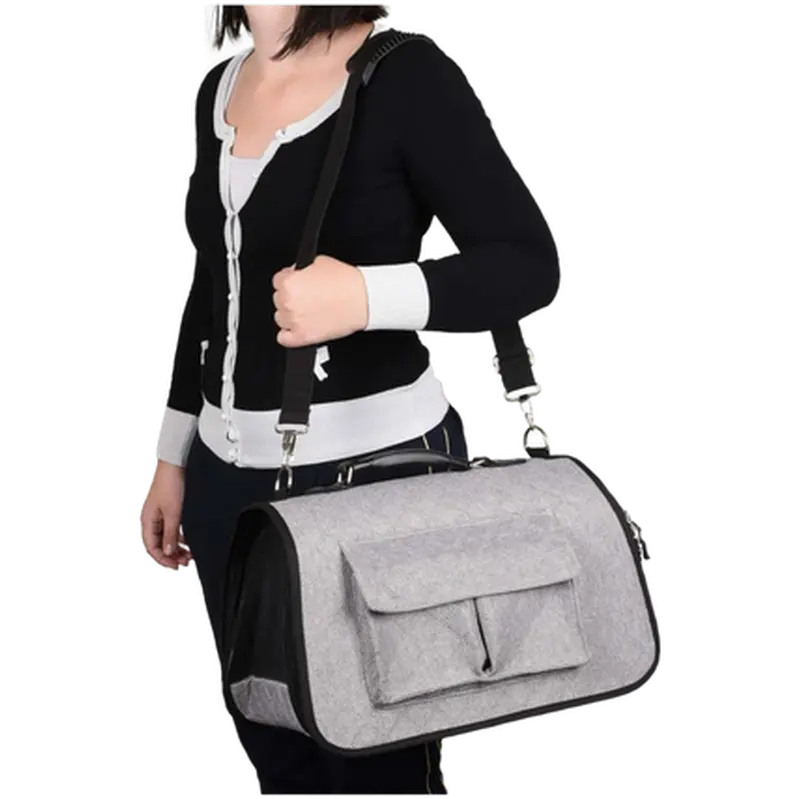 Carrying Bag Amy