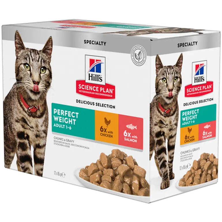 Adult Perfect Weight Chicken Salmon Pouch - Wet Cat Food