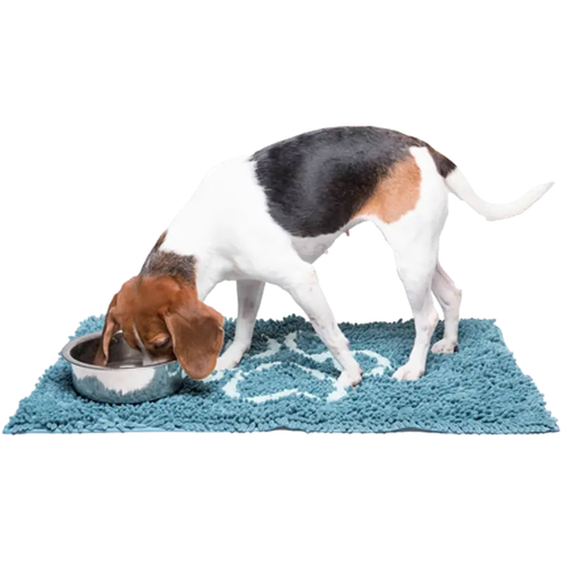 Dirty Dog Doormat