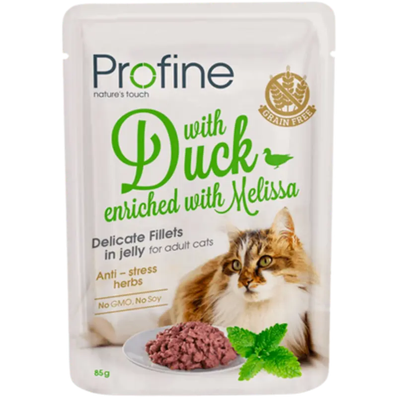 Cat Pouch Fillets Jelly Duck & Melissa