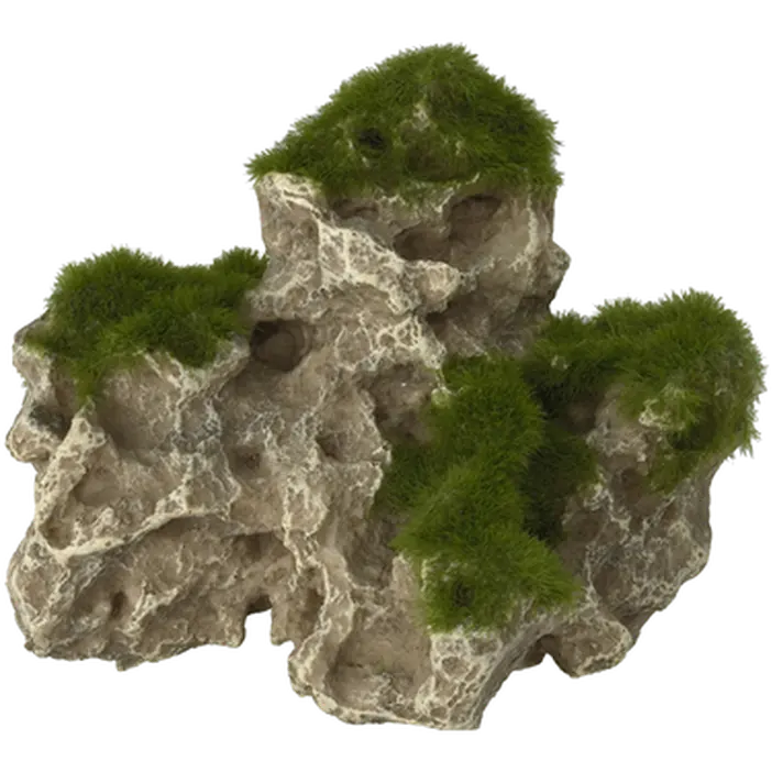 Moss Rock