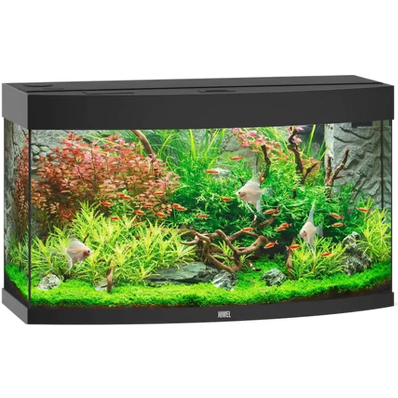 Vision Aquarium Svart