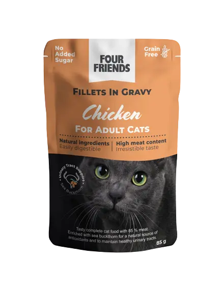 Cat Adult Chicken in Gravy Pouch
