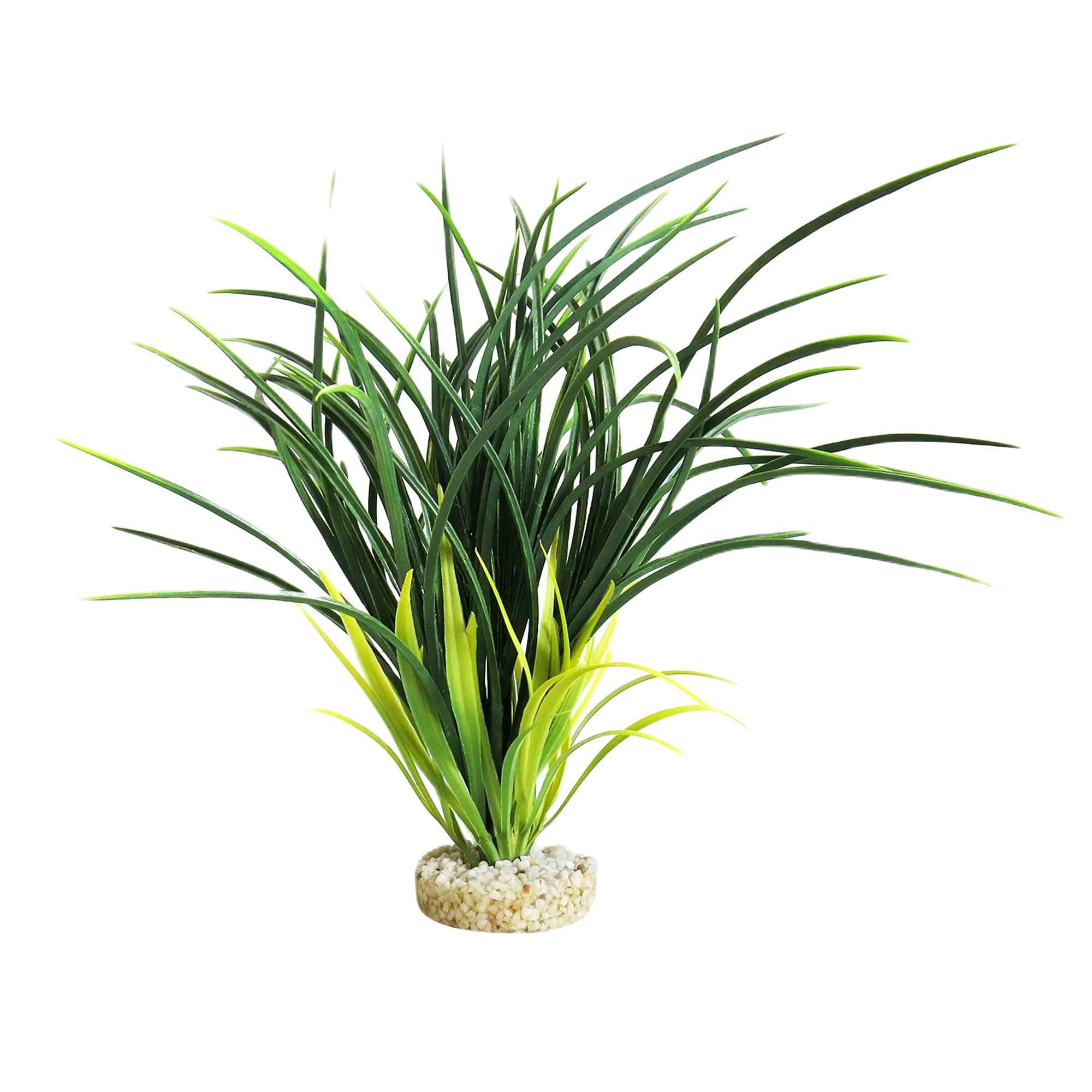 Plastväxt Bioaqua Acorus