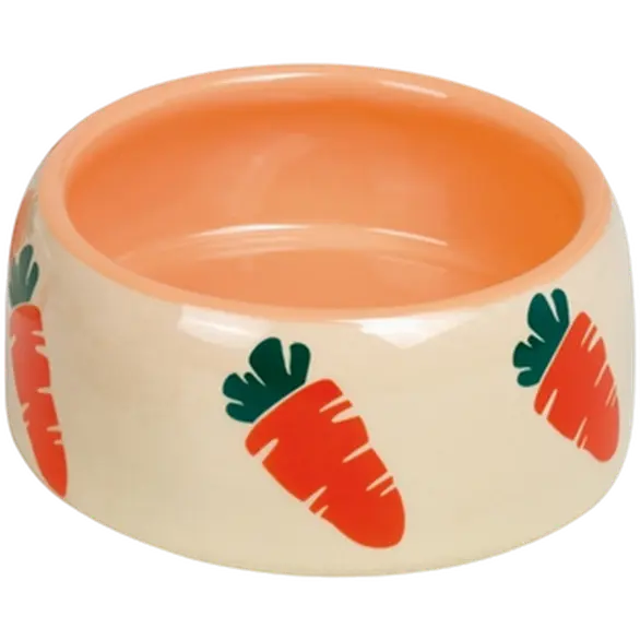 Carrot Ceramic Feeding Trough