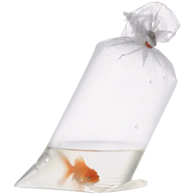 Zoo.se Fiskpåse