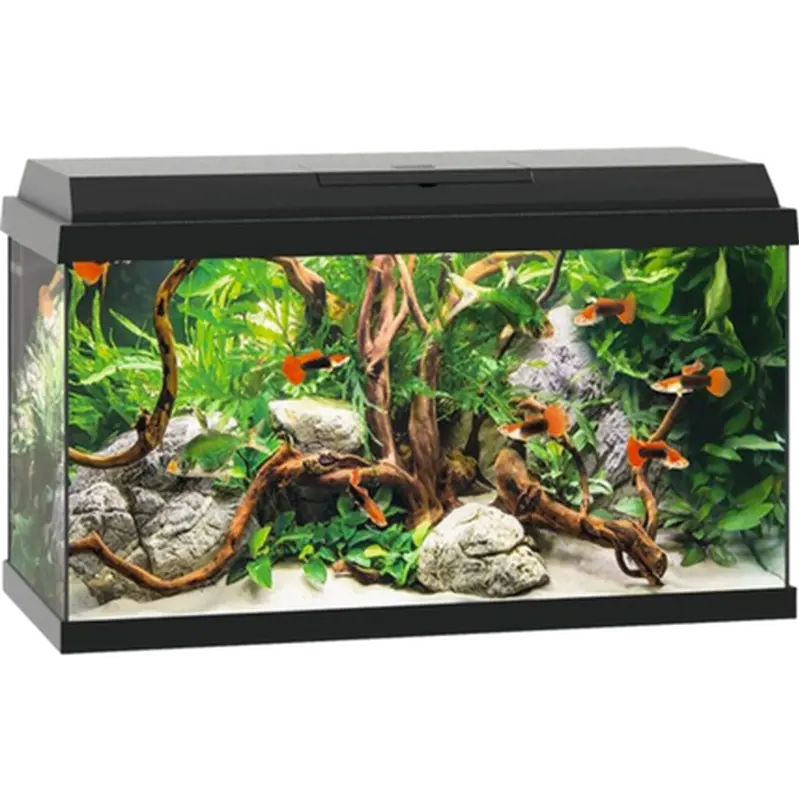 Akvarium Primo Svart