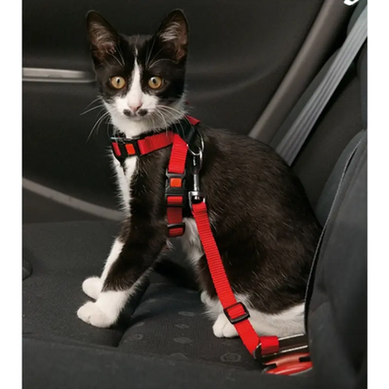 Car Safety Cat Harness