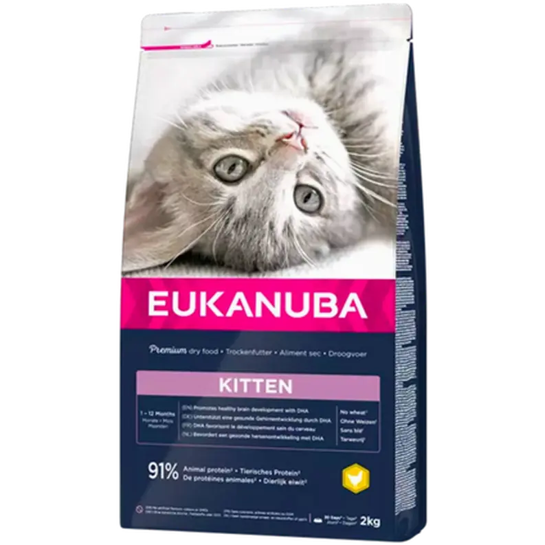 Cat Kitten Healthy Start
