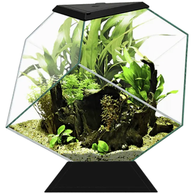 Aquarium Nexus
