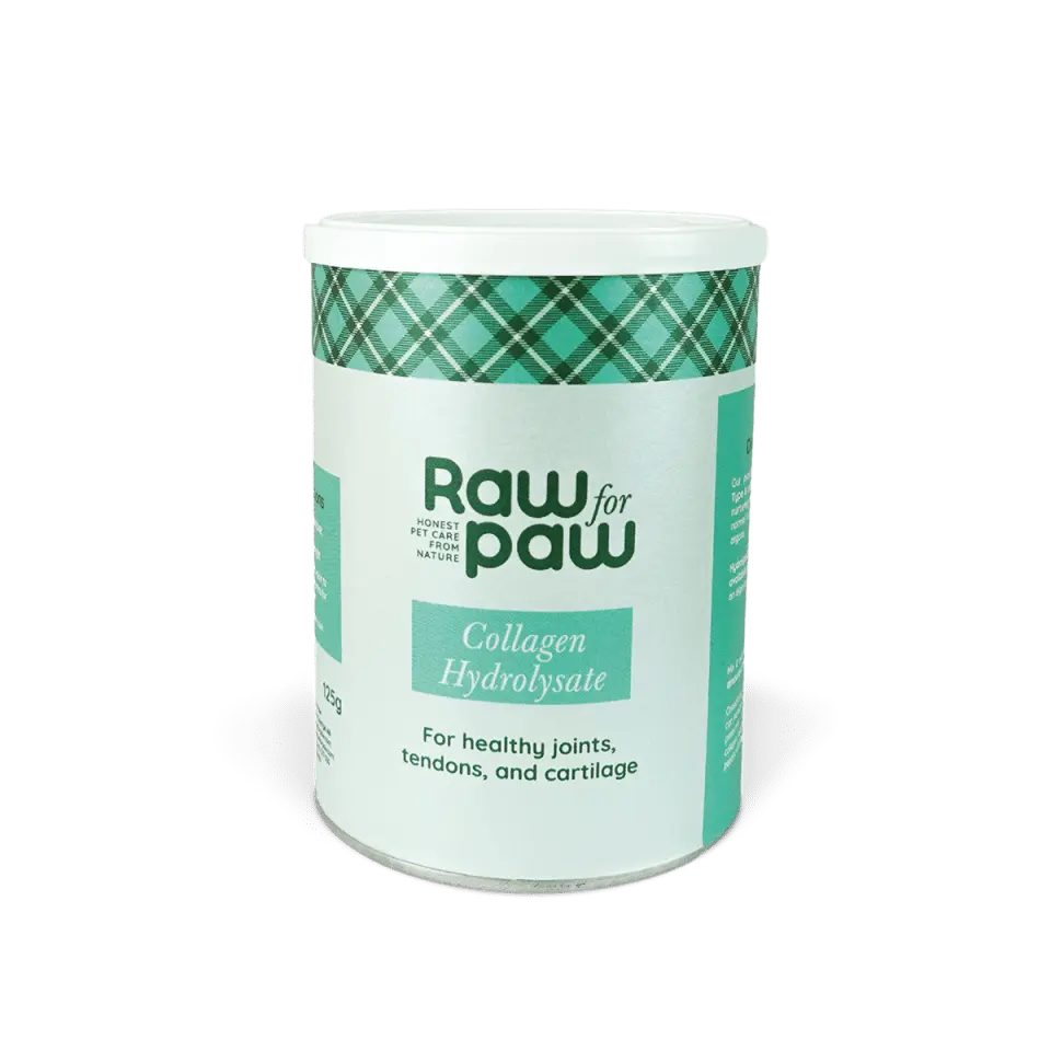 Supplement Collagen Hydrolysate 125 g