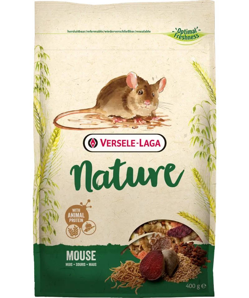 Nature Mouse