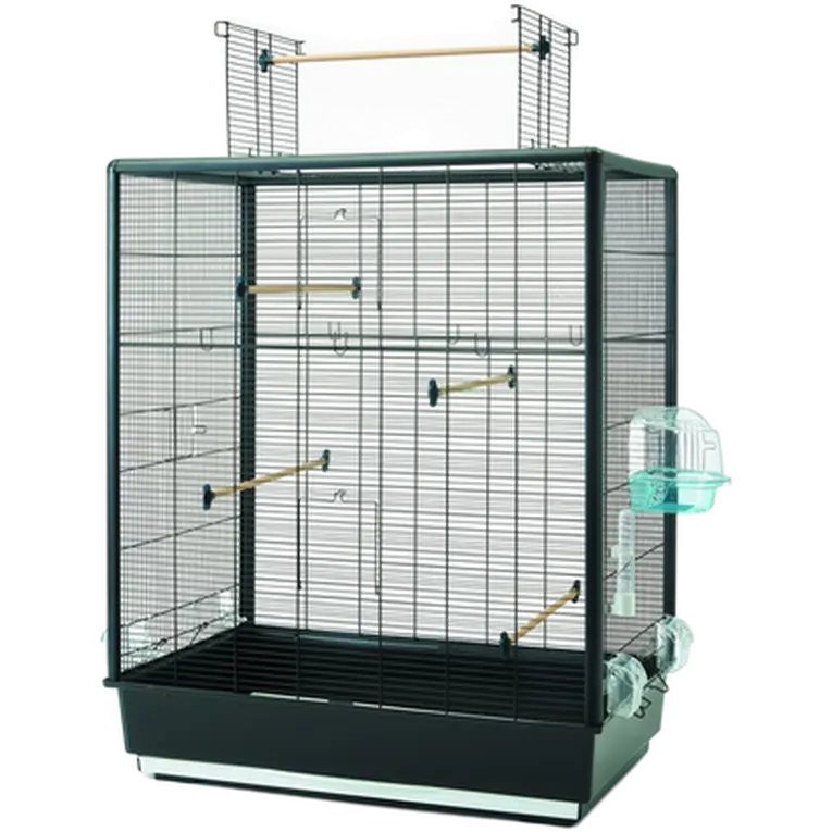Primo 60 Open Empire