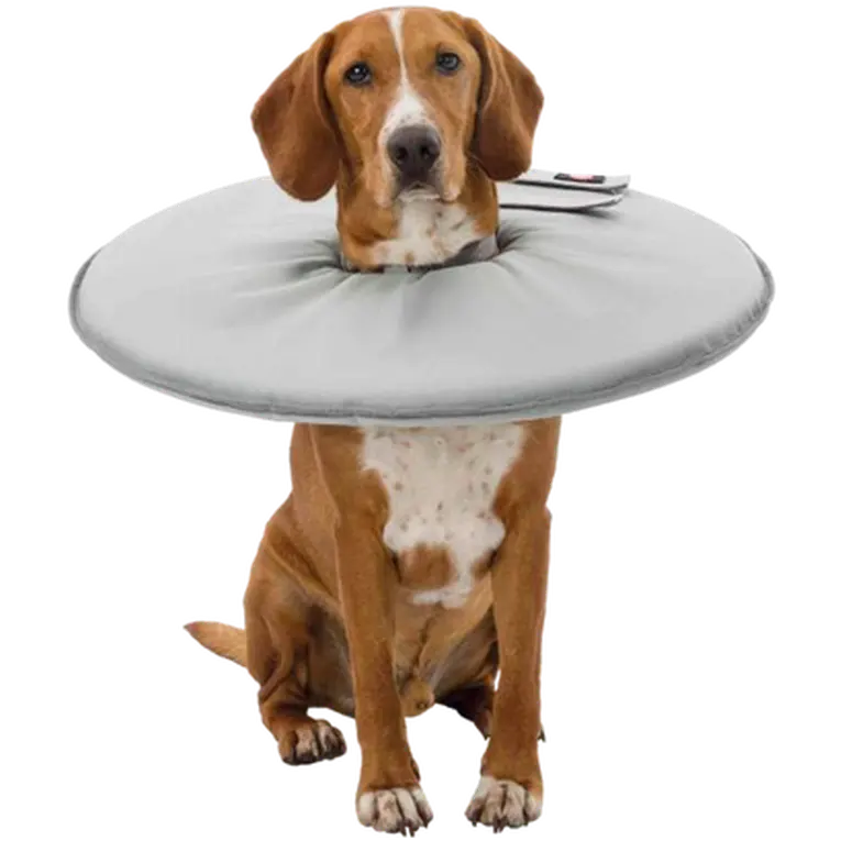 Protective Collar