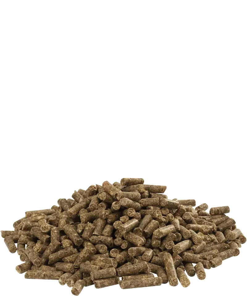 Country's Best Cuni Fit Pure