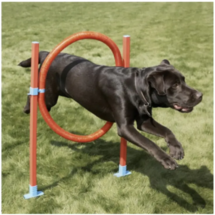 Range Hoop Jump
