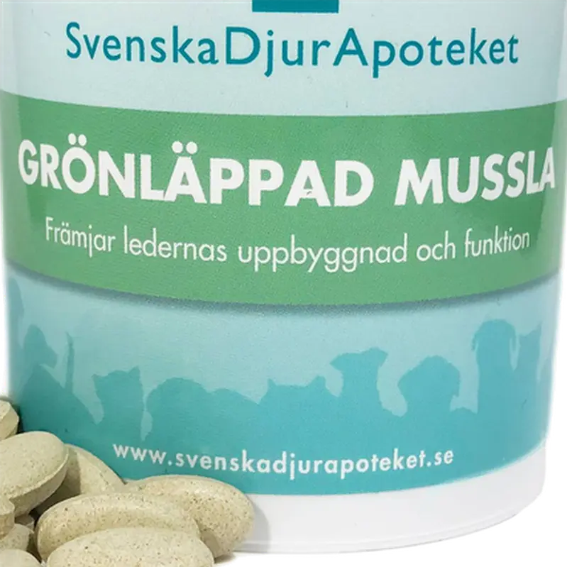 Grönläppad Mussla