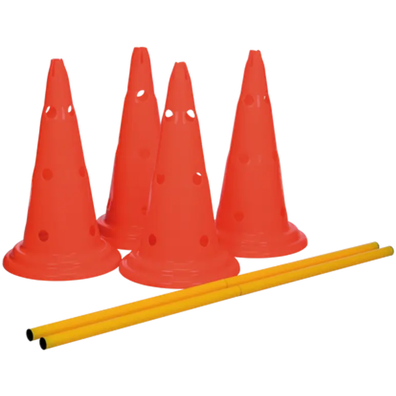 Dog Activity Obstacles set