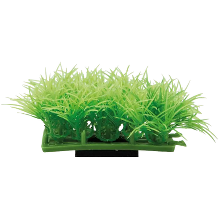 Plant Pad 2