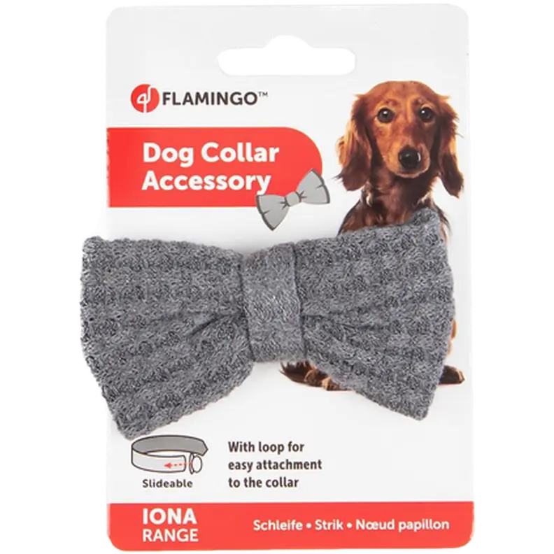 Collar Accessories Bow Iona