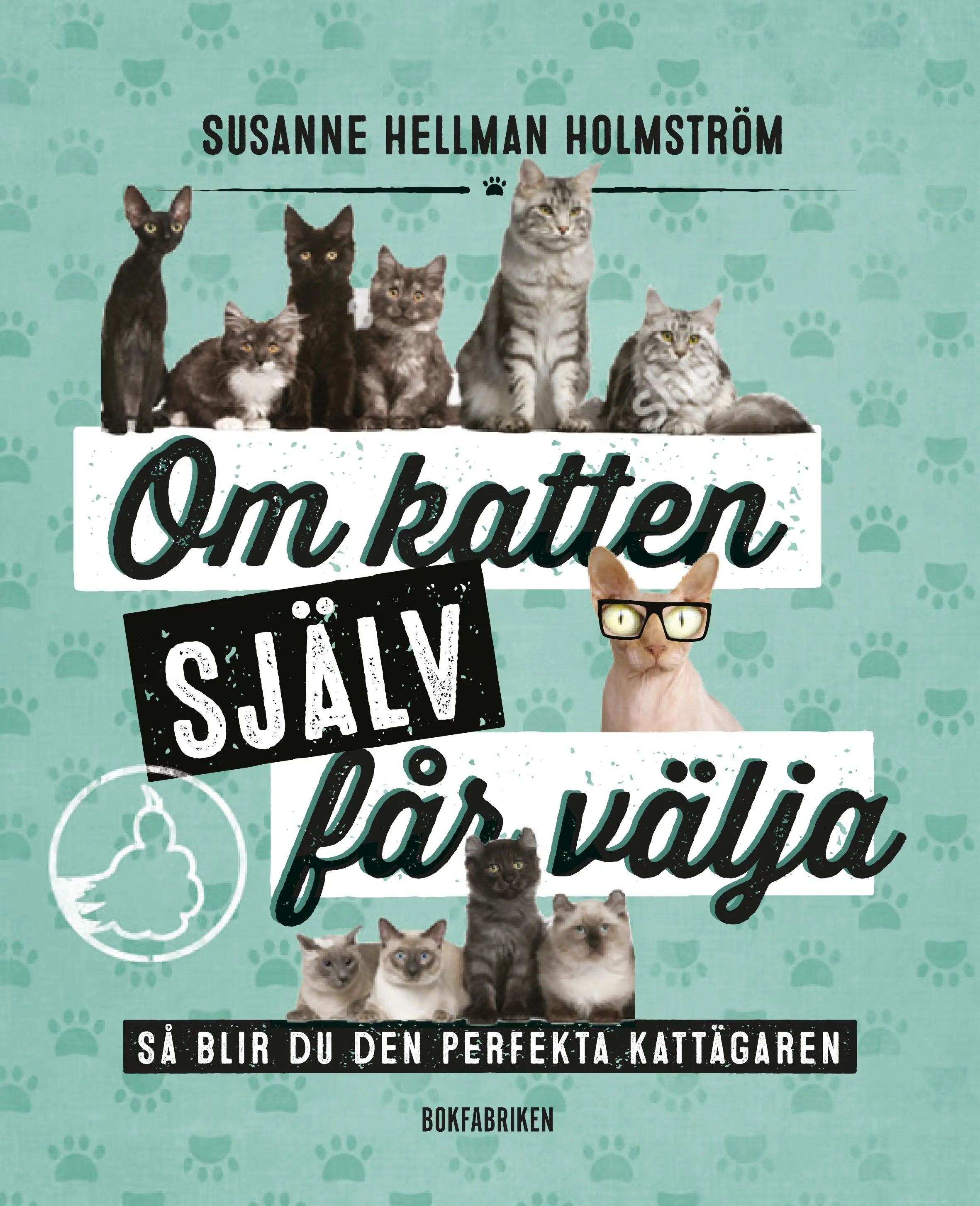 Om Katten själv får välja - Så blir du den perfekta kattägaren