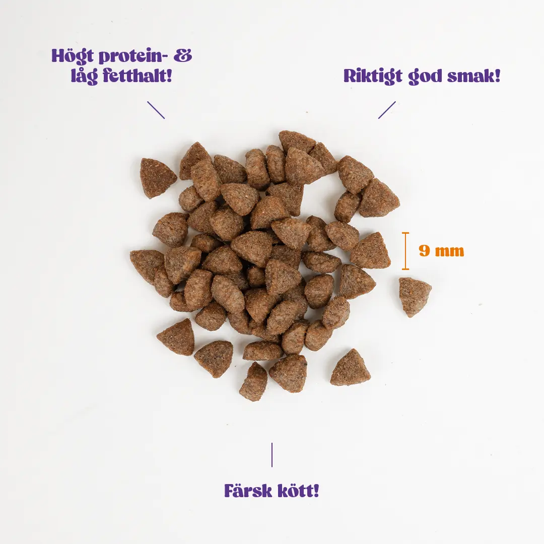 Adult Cat Sterilized Beef