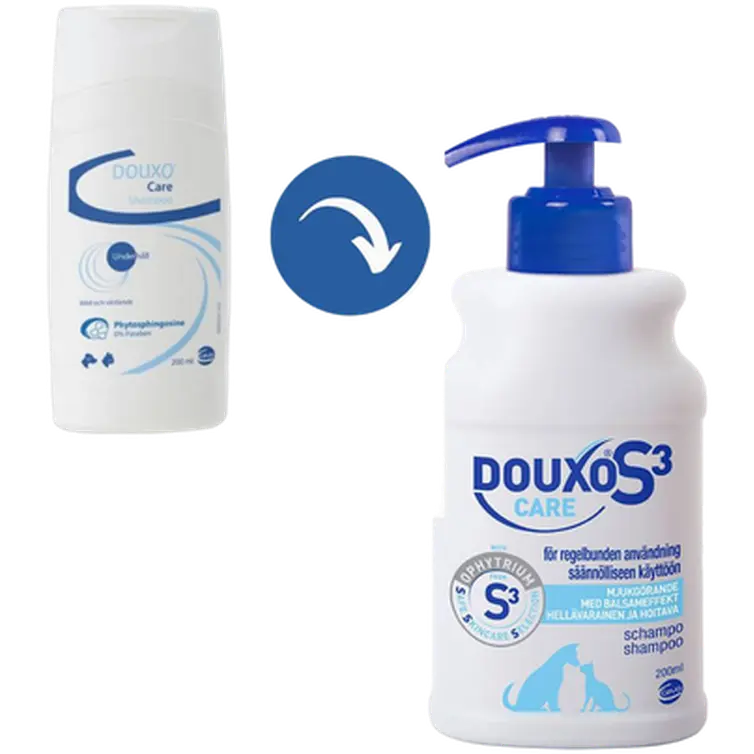 Care Shampoo