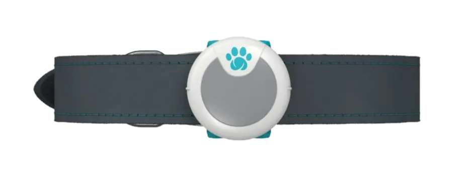 Animo Activity Tracker