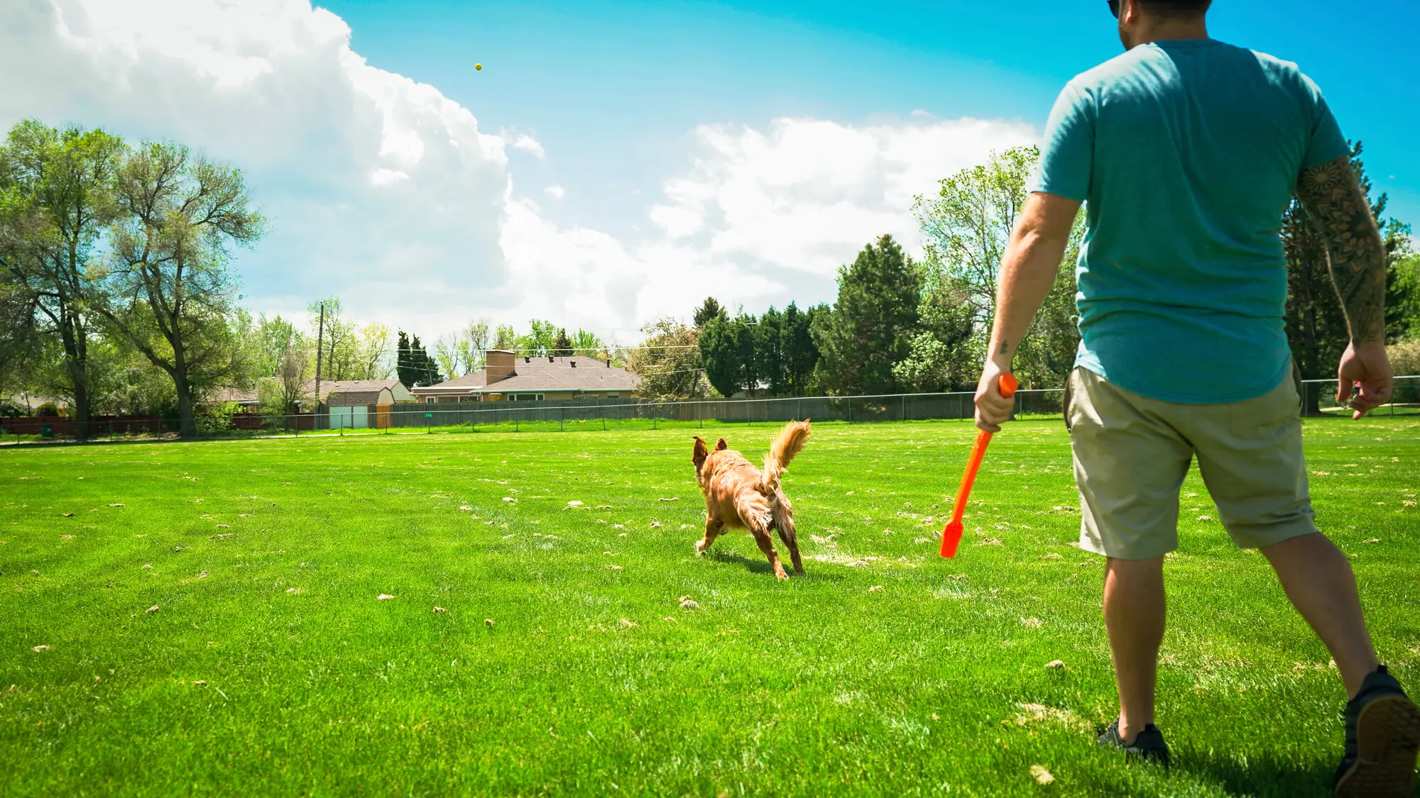 Dog Toy Flingerz Ball With Launcher