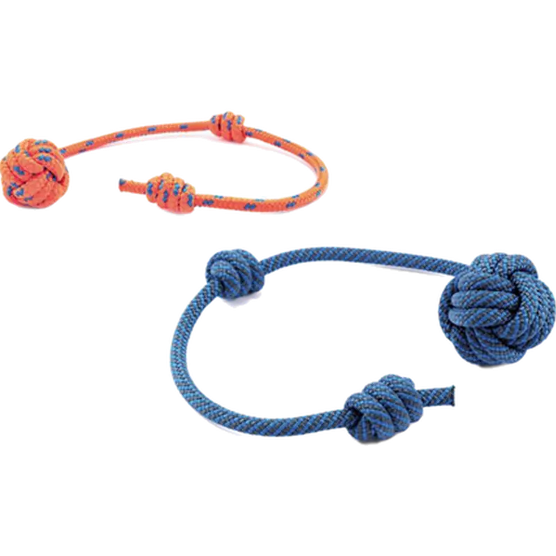 Fetch Toy for Dogs