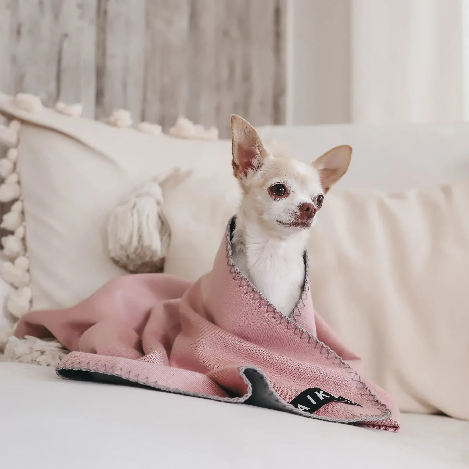 Recovery Blanket for Pets
