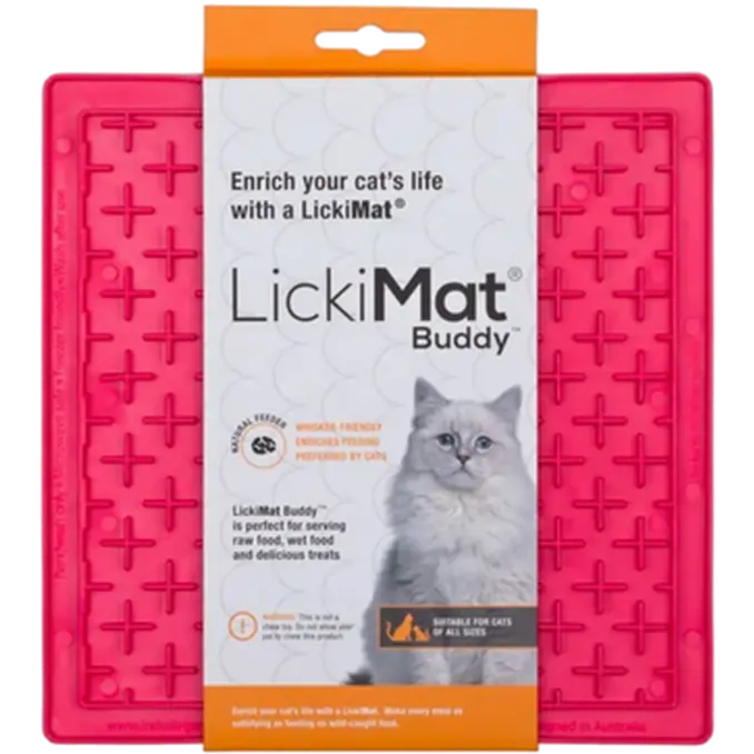 Cat Classic Buddy Rosa
