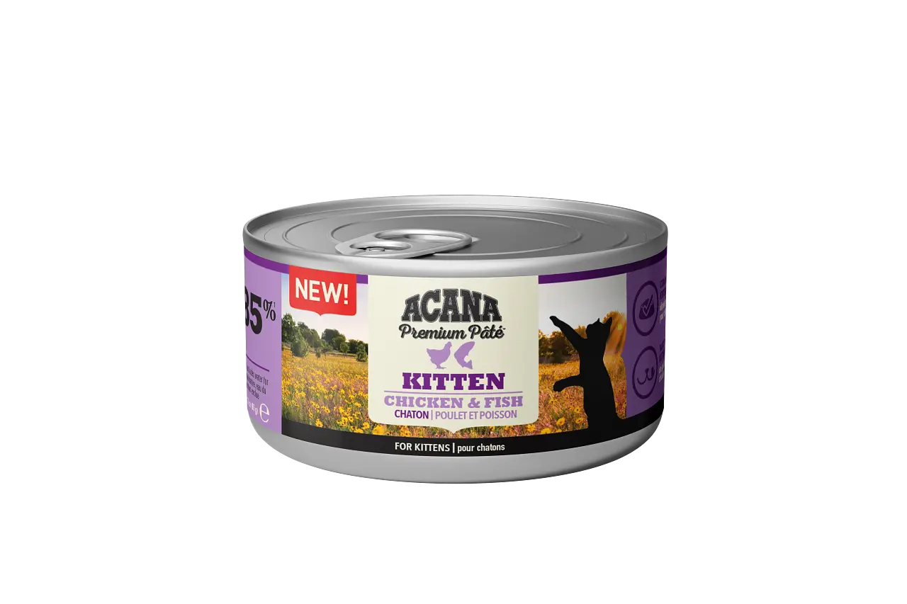 Cat Premium paté Kitten Chicken/ Fish