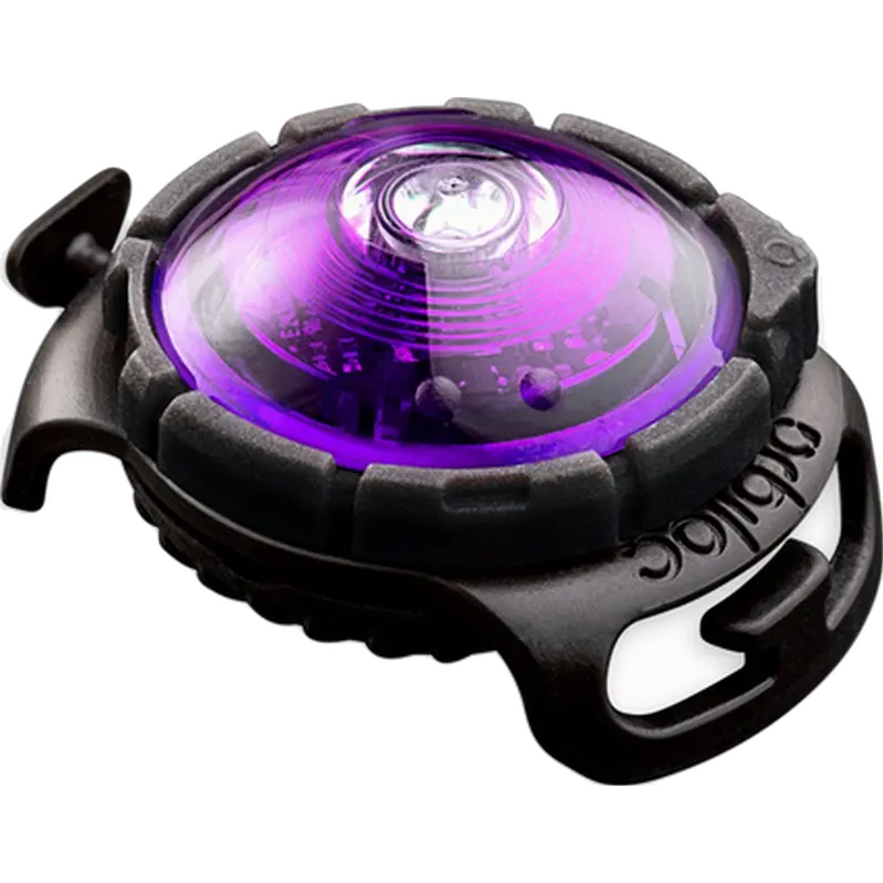 Safety Light Dog Dual LED - Hundlampa Lila