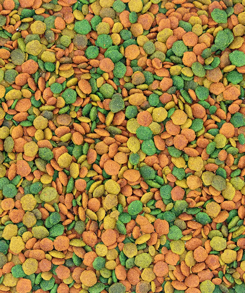 NutriBird G14 Tropical (Parakit)