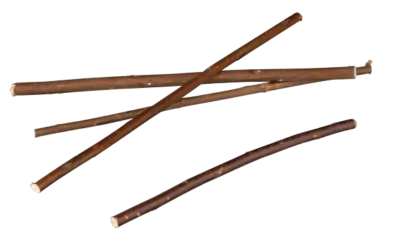 Pilkvistar