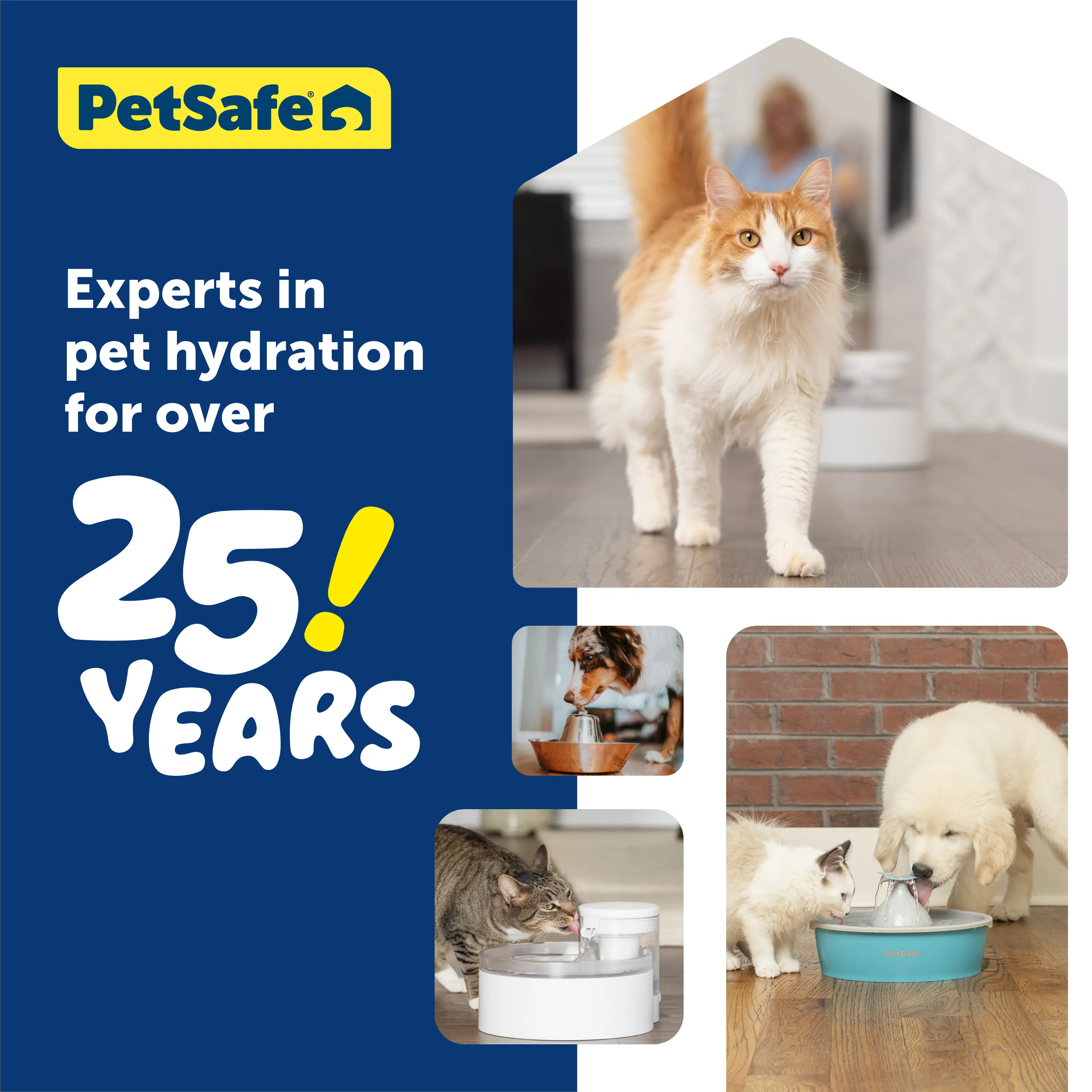 Outlast™ Pumpless Pet Fountain